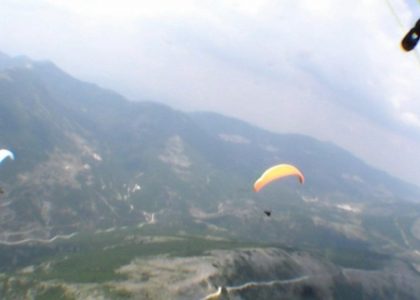 Gaggle flying